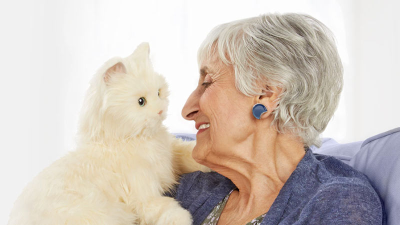 toys for elderly cats